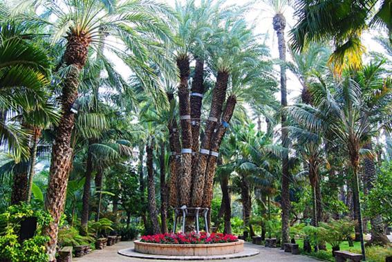 Piso Centro Elche Junto Basilica公寓 外观 照片